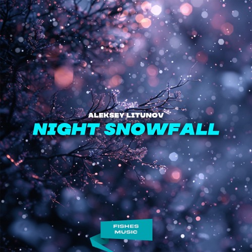 Night Snowfall