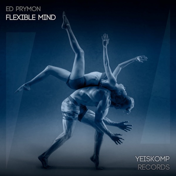 Flexible Mind