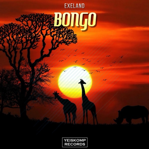 Bongo