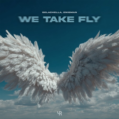 We Take Fly