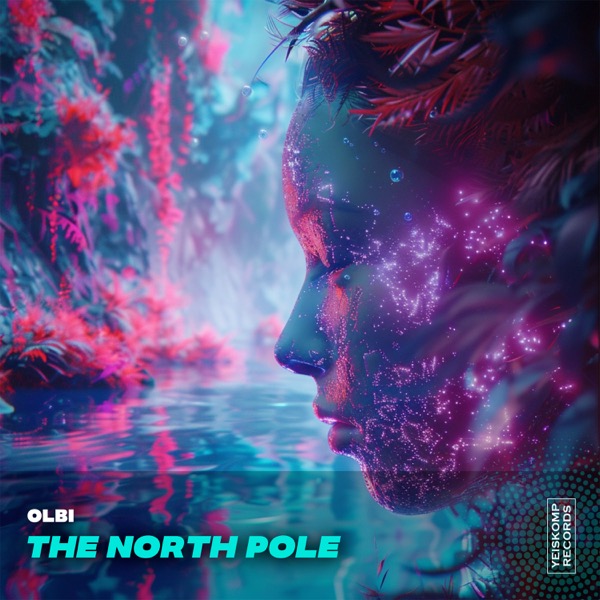 The North Pole