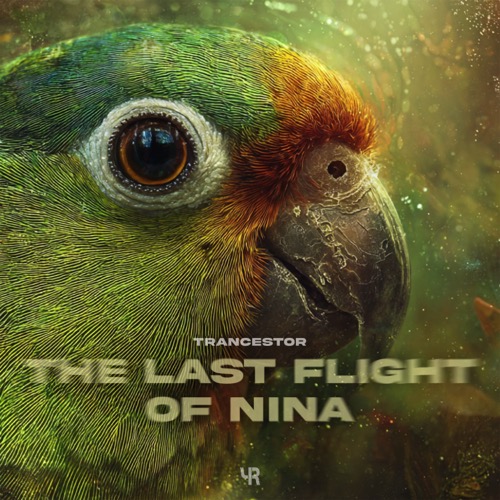 The Last Flight Of Nina