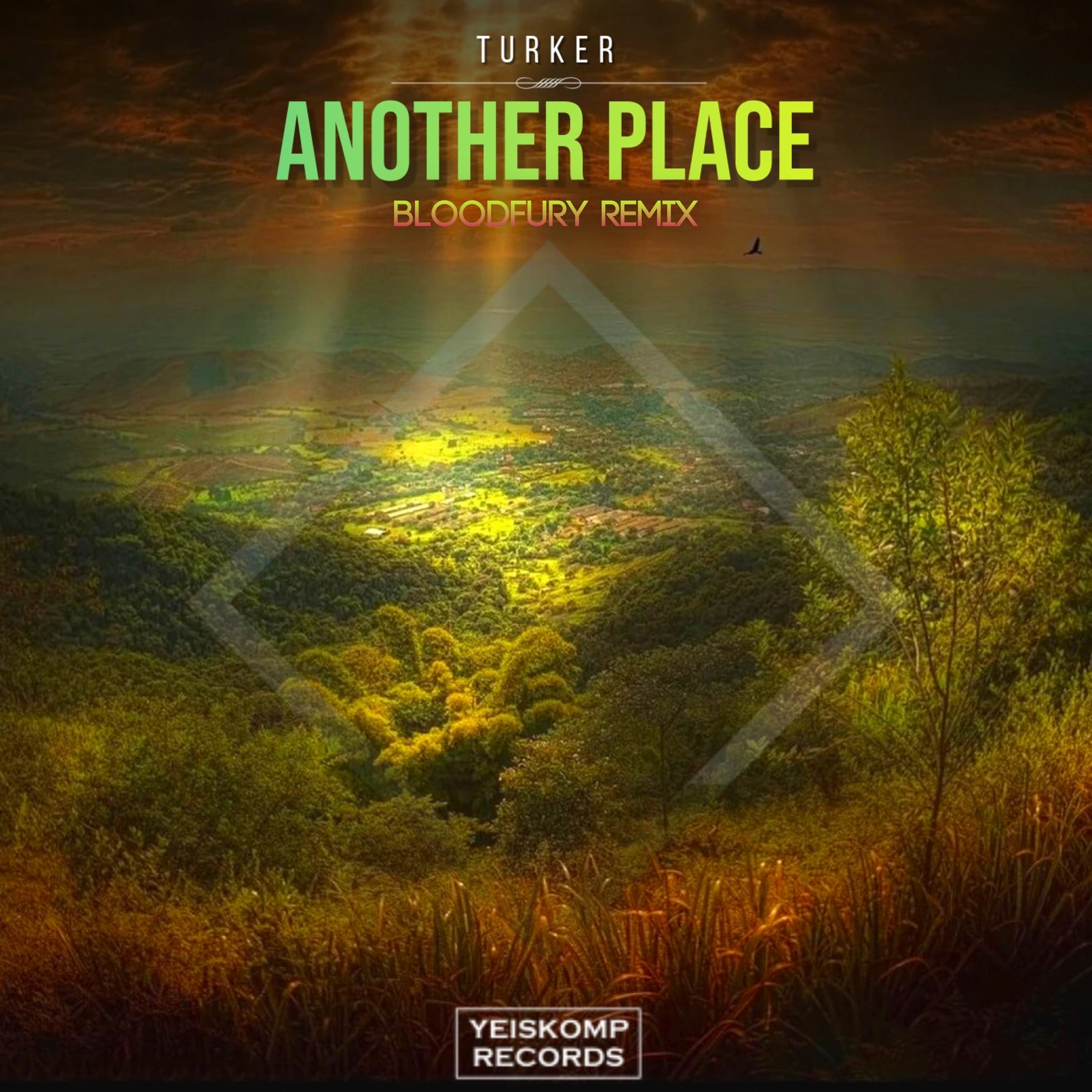 Another Place (Bloodfury Remix)